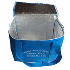 Totes пикника сини Non сплетенные изолированные изолированные мешком более холодные выполненные на заказ